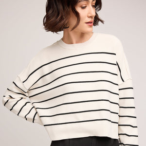 Echo Pullover Sweater
