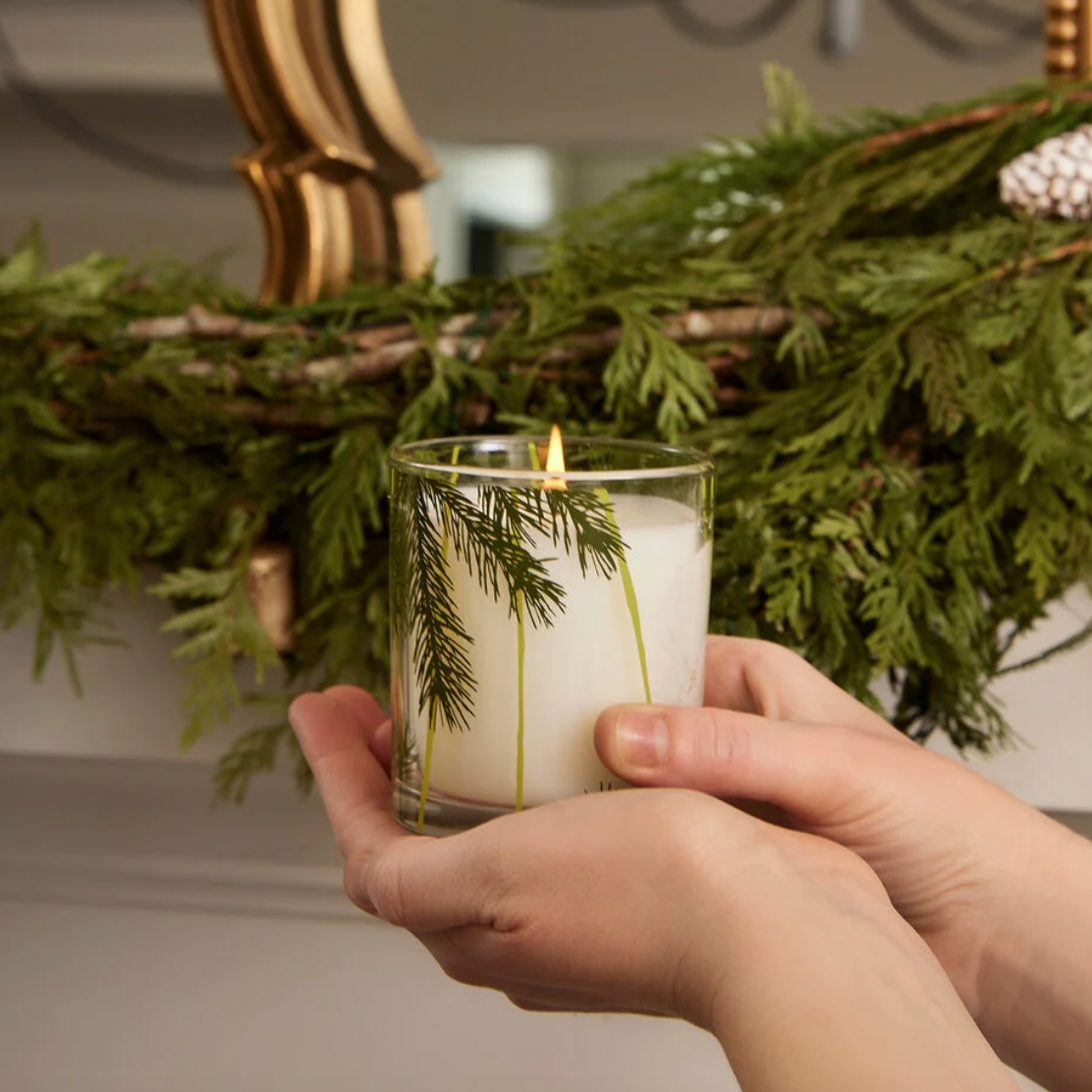 Thymes Frasier Fir Heritage Pine Needle Candle