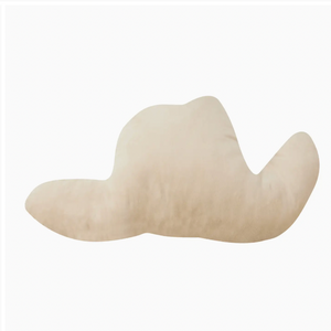 Cowboy Hat PIllow