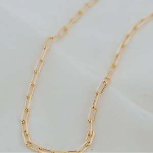 Standard Paperclip Necklace