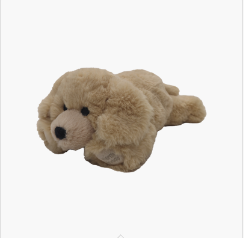 LIttle Buddy Labrador