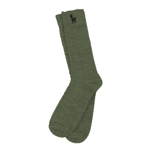 Alpaca Everyday Spruce Socks